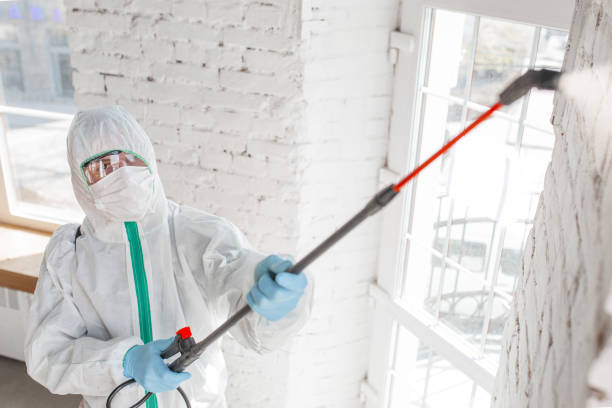 Best Forensic Mold Investigation  in Snyderville, UT